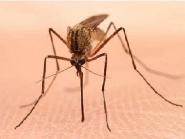 三水四害消杀中心分享4个常用的灭蚊子方法