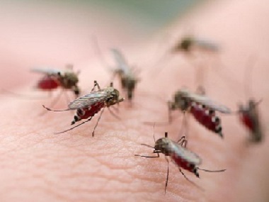 顺德四害消杀公司常用灭蚊子的办法有哪些