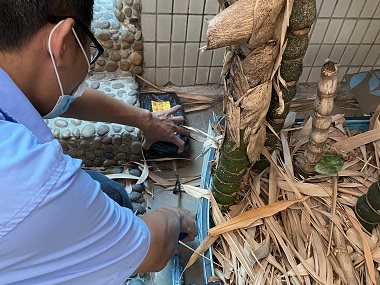 佛山白蚁预防站普通杀虫剂能根治白蚁吗？